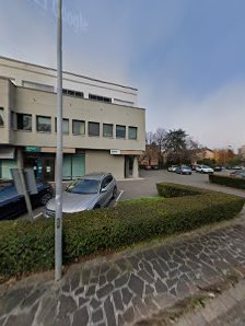 Immagine Orchidea - Alleati di bellezza 4