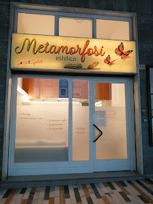 Immagine Metamorfosi 2