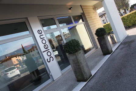 Immagine Meneguzzi Enrica 2