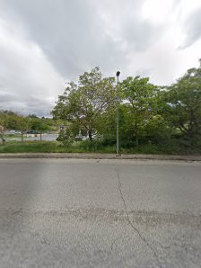 Immagine Valeria Toscanelli 3