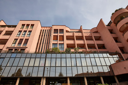 Immagine Donna In Linea 2