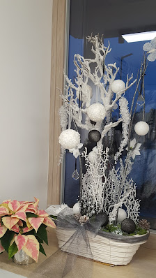 Immagine Centro Estetico Stefani di Stefani Verdiana 3