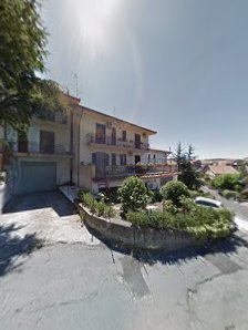 Immagine Lupo Daniela 1