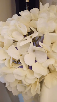 Immagine AnimAma Estetica 3