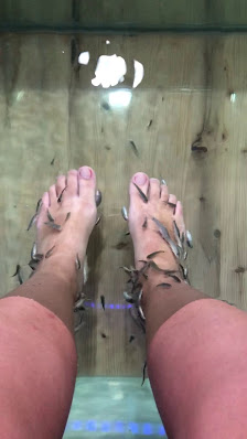 Immagine Fish Therapy 3