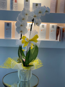 Immagine Centro estetico La Perla di Bumbac Lia 1