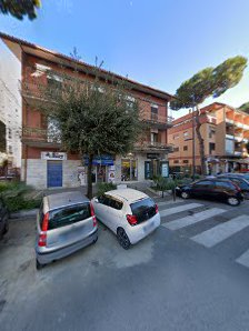 Immagine Sunny Planet 1