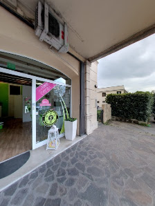 Immagine Nomasvello Treviso 3