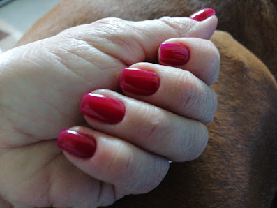 Immagine Centro Estetico Elite 1