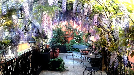 Immagine New Beauty Center Due 2