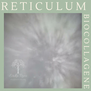 Immagine Erika Rava Concept Wellness & Beauty 4