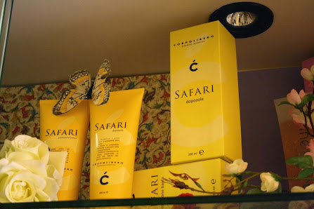 Immagine Istituto Ariosto - S.N.C 3