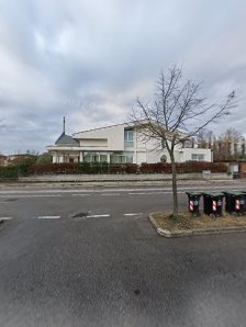 Immagine Estetica Stella di Perin Stella 1