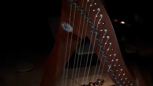 Immagine Lyra benessere & saune 2