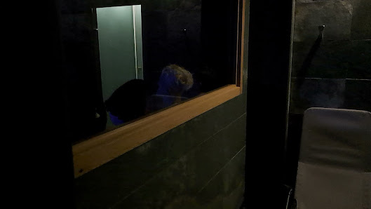 Immagine Lyra benessere & saune 3