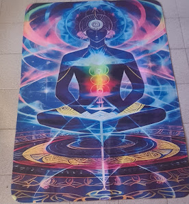 Immagine Studio Olistico Forti Pamela 2