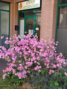 Immagine Estetica Verdebenessere 1