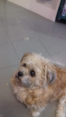 Immagine Estetica Adriana 1