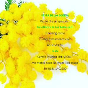 Immagine The Secret di Lovino Nicoletta 3