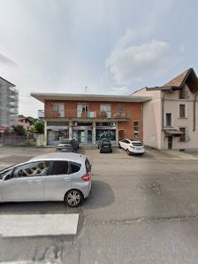 Immagine Crisalide 4