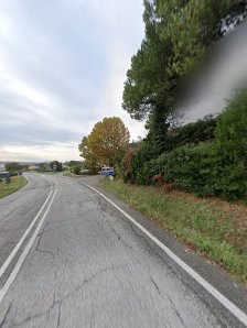 Immagine Punto Donna 3