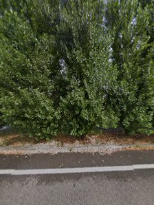 Immagine Tips e Tops 4