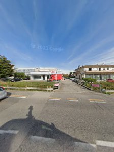 Immagine SestoSenso Specialist 2