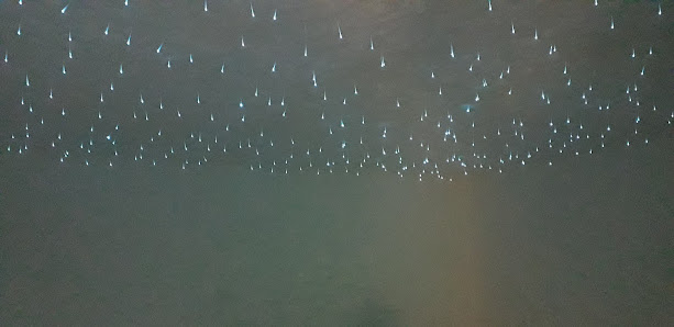 Immagine Istituto di bellezza Suàvitas, di Angela Scarcelli Andria 1