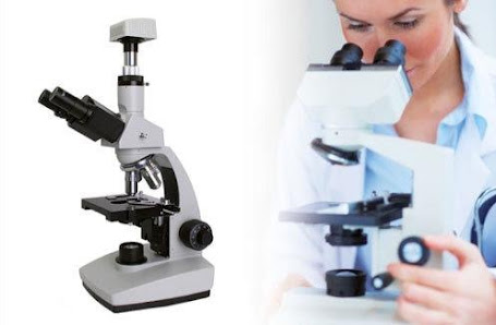 Immagine Centro Estetico Armonia di Sabrina Arvani 2