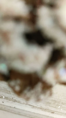 Immagine EleEstetika 3