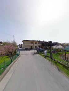 Immagine Uliana Monica 4