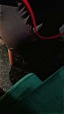 Immagine Marco Post Como Città 3