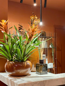 Immagine Gallery Beauty&Wellness 1