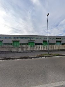 Immagine Paradise beauty di Monti Daniela 4