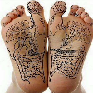 Immagine Estetica Albero del Benessere 2