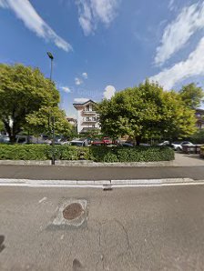 Immagine Estetica Albero del Benessere 4