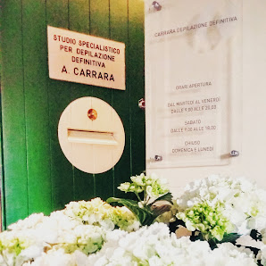 Immagine Depilazione Carrara 4