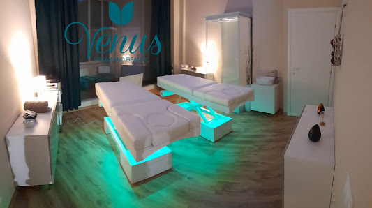 Immagine Venus al Plaza 3