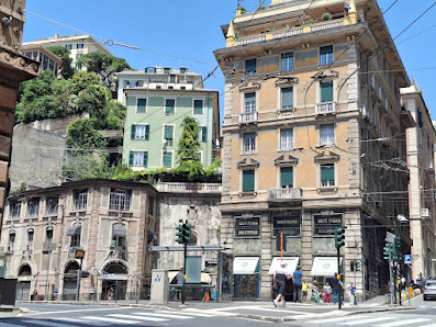 Immagine Vanità Italiana 2