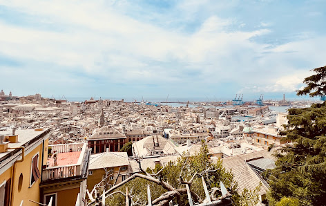 Immagine Vanità Italiana 3