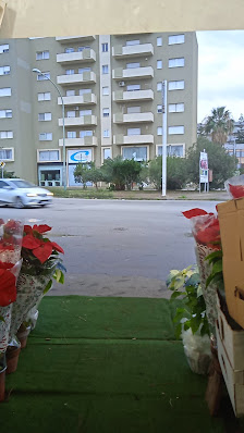 Immagine Enzo Coppola I Parrucchieri - Trapani 2