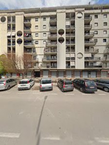 Immagine Gatto Blu - L'Arte della Bellezza 1