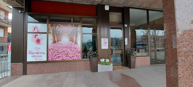 Immagine Estetica Elisir Bellezza E Benessere Di Tonelli Federica 2