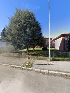 Immagine Venere Snc di Grassi Barbara E.C. 2