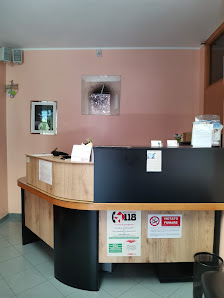 Immagine Angeli Adriano Massaggiatore Sportivo 1