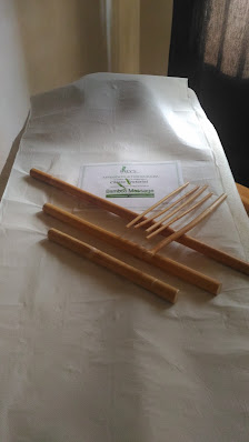 Immagine Solestetica Di Chiara Venturini 1