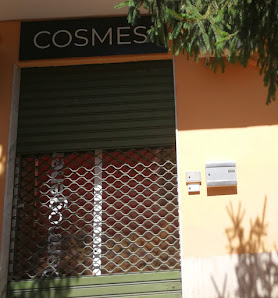 Immagine Metamorfosi Di Francesca Serrecchia 2