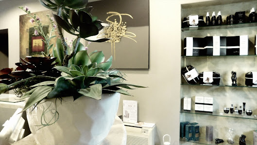 Immagine Il Mondo della Bellezza 3