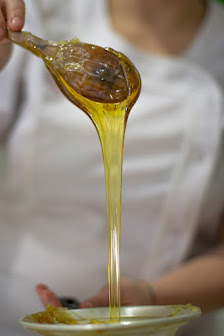 Immagine Veruska Studio 1