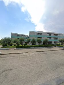 Immagine Perla Nera 1